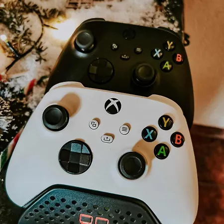 Patryk Проживание в семье